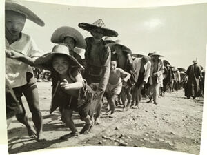 Gelatin silver print