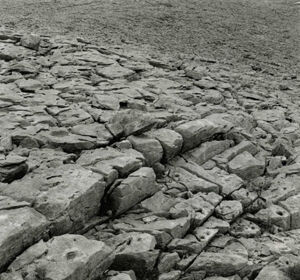 Gelatin silver print