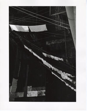 Gelatin silver print