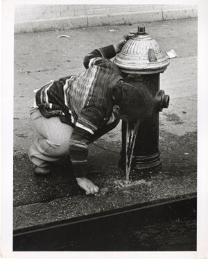 Gelatin silver print