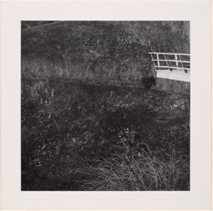 Vintage Silver Print