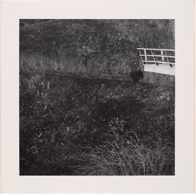 Vintage Silver Print