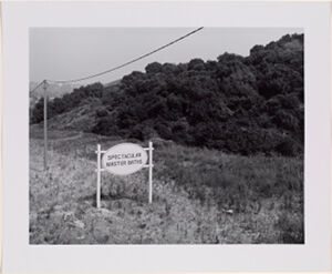 Vintage Silver Print