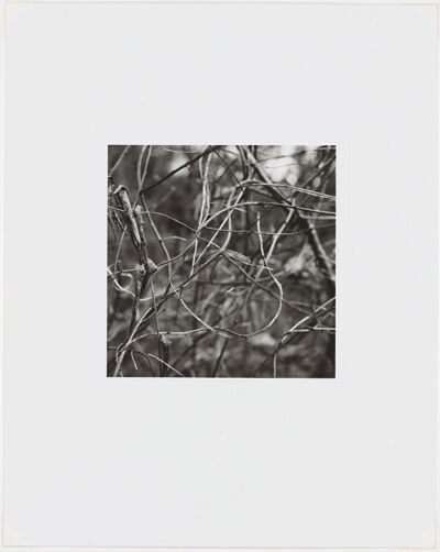 Silver Gelatin Print