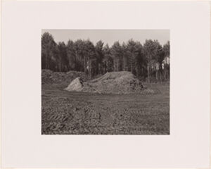 Silver Gelatin Print