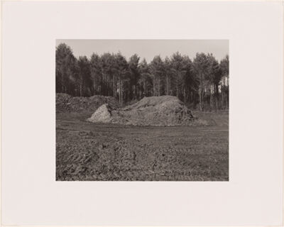 Silver Gelatin Print