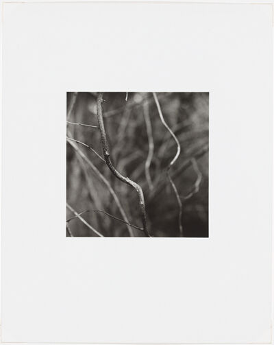 Silver Gelatin Print