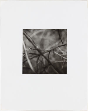 Silver Gelatin Print