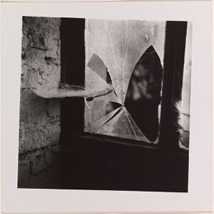 Silver Gelatin Print