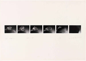 Silver Gelatin Print