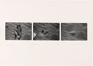Silver Gelatin Print