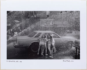 Silver Gelatin Print