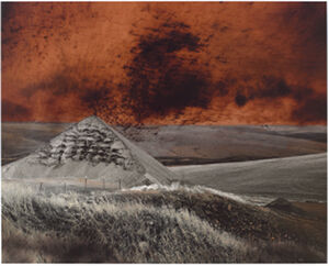 Photographic Monoprint