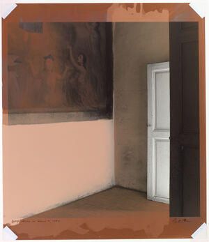 Photographic Monoprint