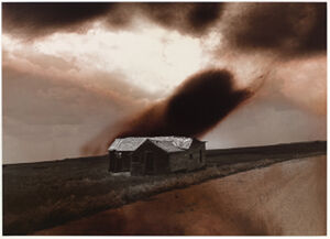 Photographic Monoprint