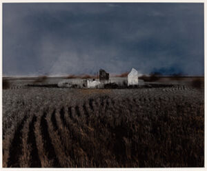 Photographic Monoprint