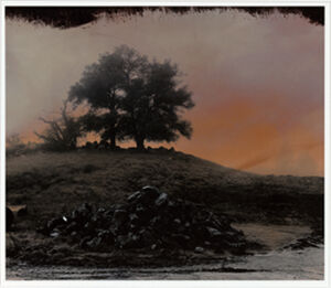 Photographic Monoprint