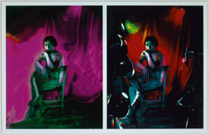 Polaroid Polacolor II photo