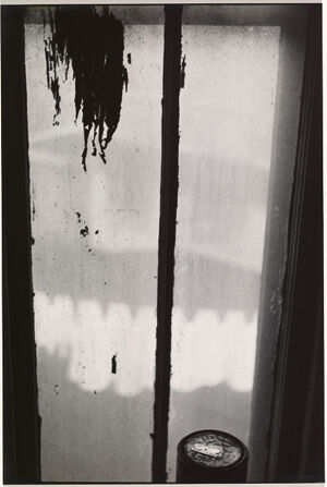 Silver Gelatin Print