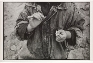 Silver Gelatin Print