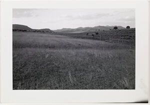 Silver Gelatin Print