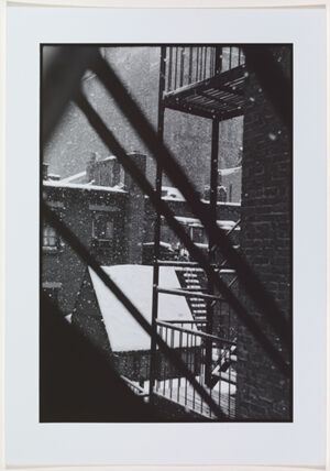 Silver Gelatin Print