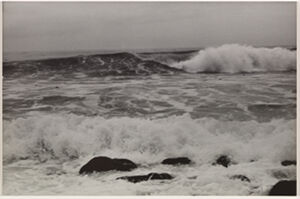 Silver Gelatin Print