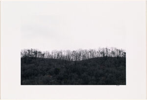 pigment print