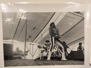 Gelatin silver print