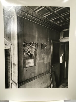 Gelatin silver print
