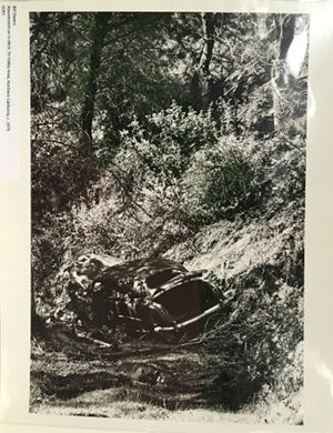 Gelatin silver print