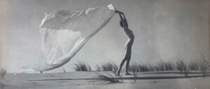 Bromide Print
