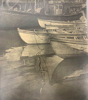 Bromide Print