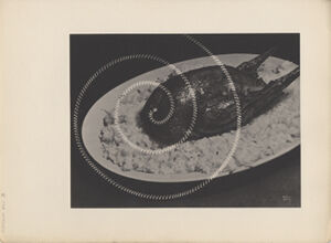 Photogravure on paper