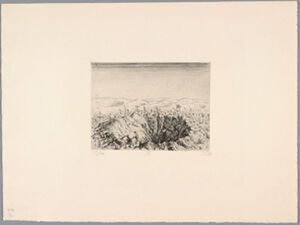 Etching and drypoint, Ed. 33/70