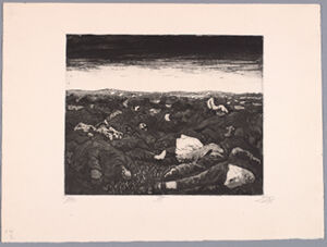 Etching and aquatint, Ed. 33/70