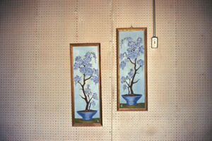 Chromogenic color print, Ed. 1/10