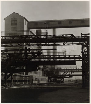 Gelatin silver print on board