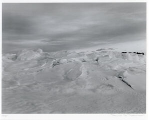 Gelatin Silver Print on board