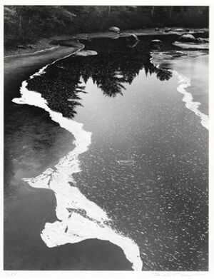 Gelatin Silver Print on board