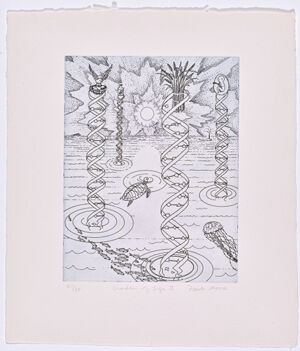 Etching on paper, Ed. 21/30