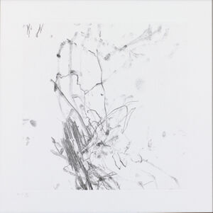 Copperplate soft ground etching on paper, Ed. 2/10