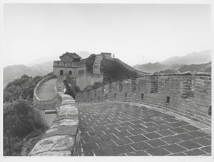 Gelatin Silver Print