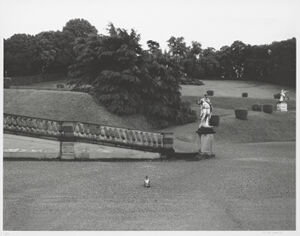 Gelatin Silver Print