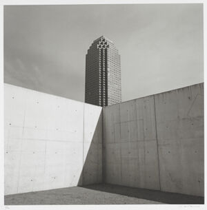 Gelatin Silver Print
