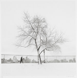 Gelatin Silver Print