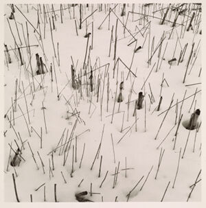 Gelatin Silver Print