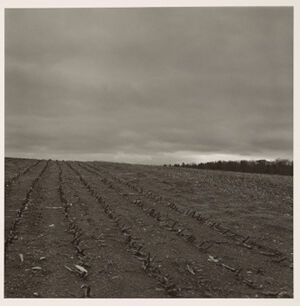 Gelatin Silver Print
