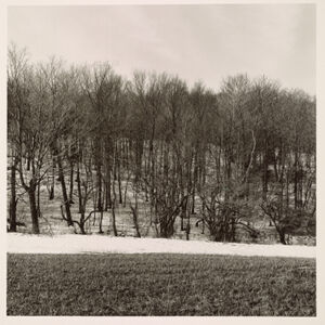 Gelatin Silver Print