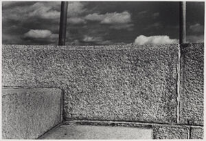 Gelatin Silver Print